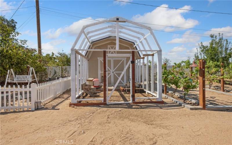 Secure chicken coop for fresh eggs