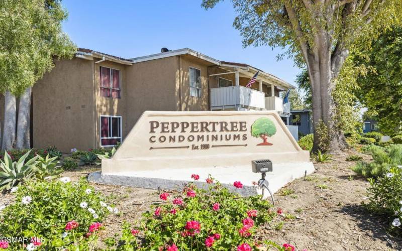 39-web-or-mls-UpmarketMedia-PepperTree