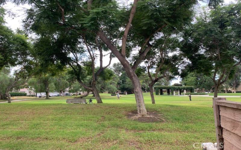 Park across the patio