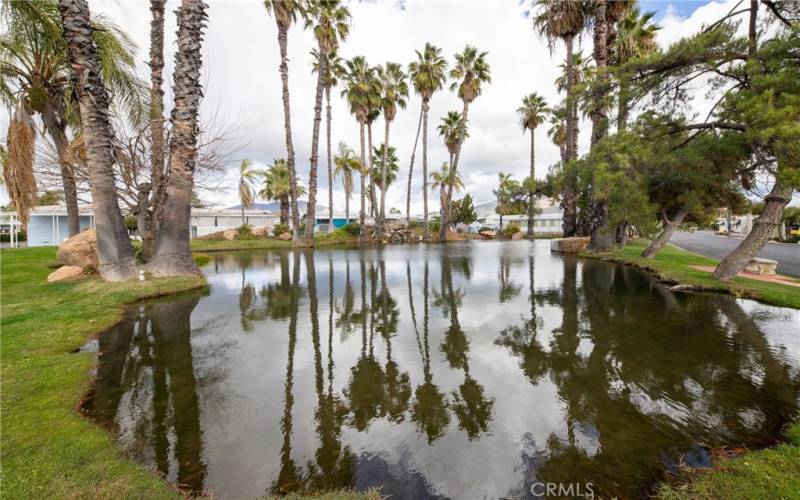 Water pond