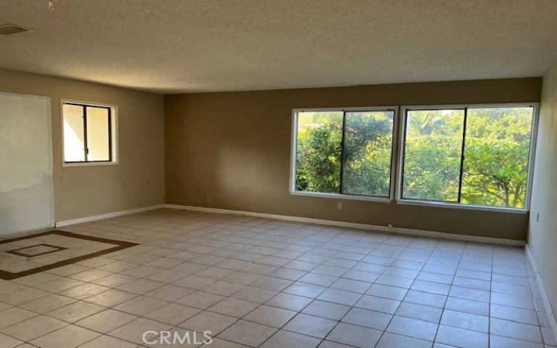 Another view of the living room.  Extra window next to front door.