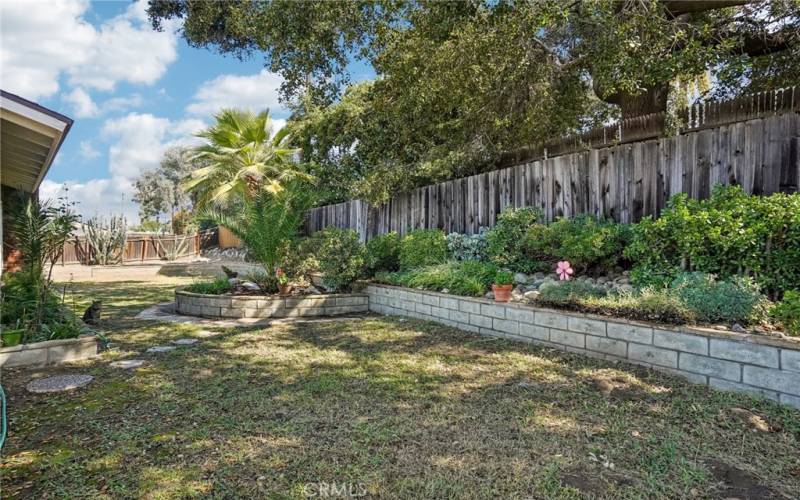 Large quiet backyard