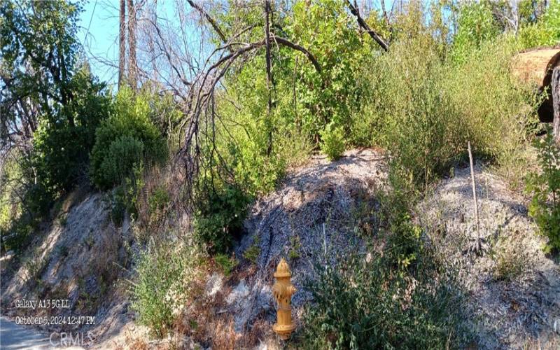 Fire Hydrant near corner of property at paved road