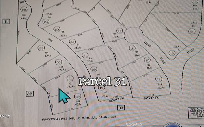 Apn Map parcel 31