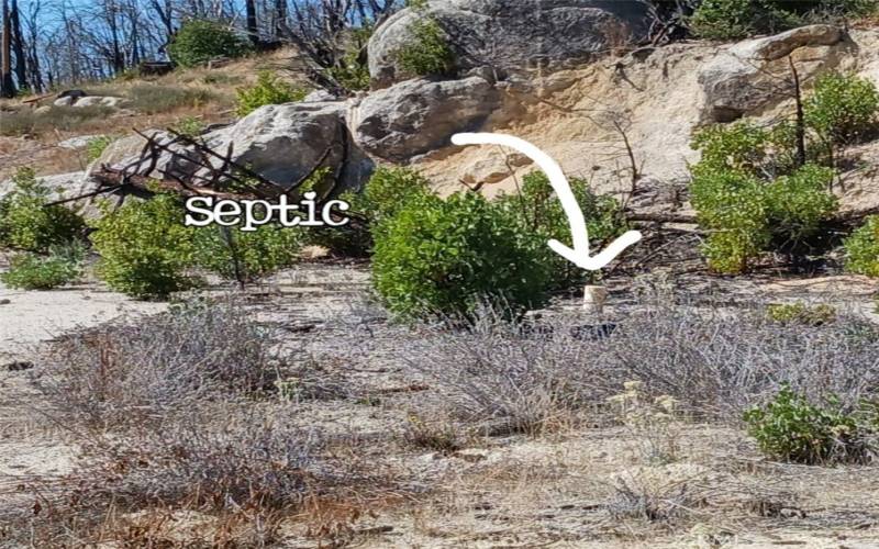 Septic site