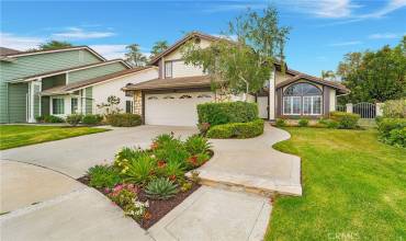 25161 Danabirch, Dana Point, California 92629, 3 Bedrooms Bedrooms, ,2 BathroomsBathrooms,Residential Lease,Rent,25161 Danabirch,OC24204213