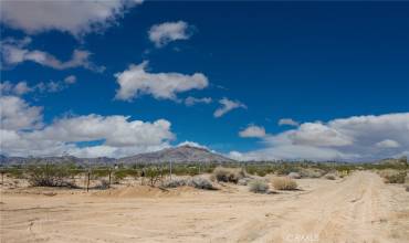 3382 Center Avenue, Joshua Tree, California 92252, ,Land,Buy,3382 Center Avenue,JT24207297