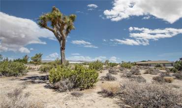 999 Grand Avenue, Yucca Valley, California 92284, ,Land,Buy,999 Grand Avenue,JT24207294