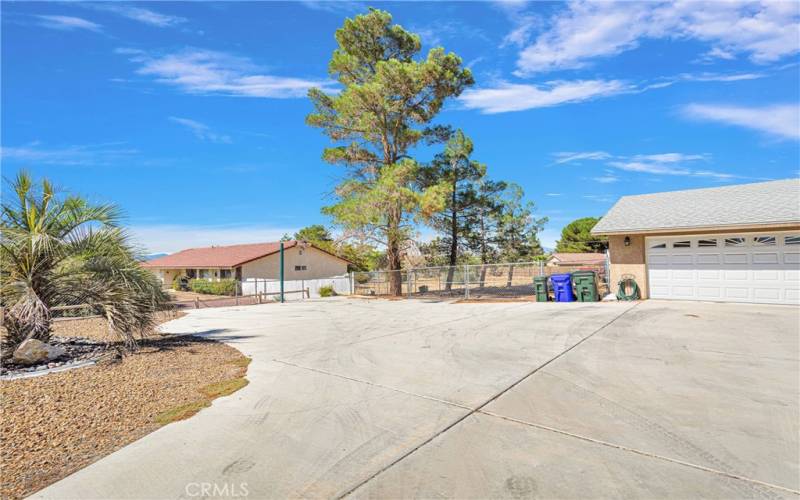 Huge Driveway