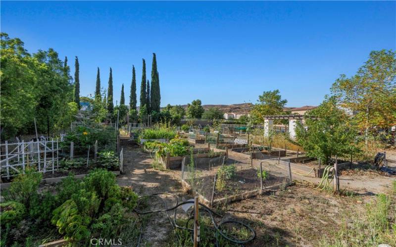 Community Garden