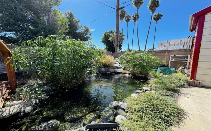 Serene Koi Pond