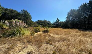 0 ALTA VISTA Road, Santa Cruz, California 95060, ,Land,Buy,0 ALTA VISTA Road,ML81982545