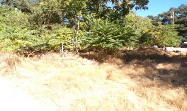 3568 Sonoma Way, Clearlake, California 95422, ,Land,Buy,3568 Sonoma Way,LC24204715