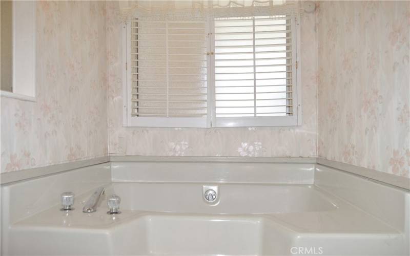 The primary bath offers a separate tub and shower, windows for some natural light, and a linen closet.