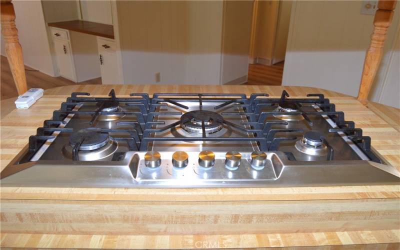 Here's a closer look at that 1 1/2 year new stainless steel gas cooktop!