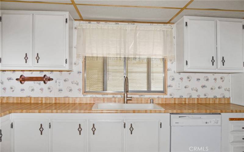 Another look at the nearly-new sink & faucet and the handy dishwasher