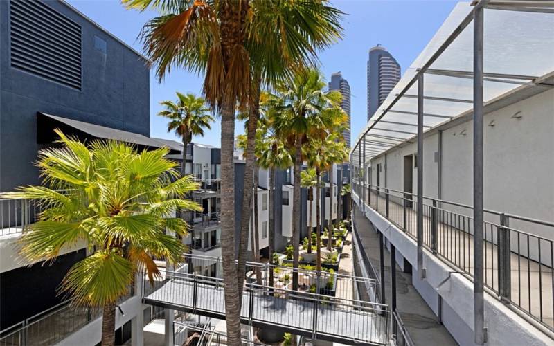 Courtyard View