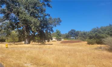 1 Acre Griffin Drive, Oakhurst, California 93644, ,Land,Buy,1 Acre Griffin Drive,FR24206163