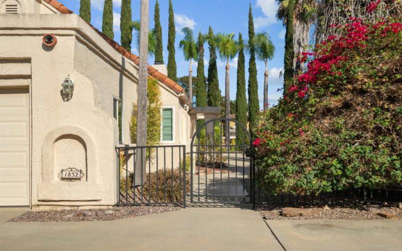 iron entry gate, beside is the bougainvillea