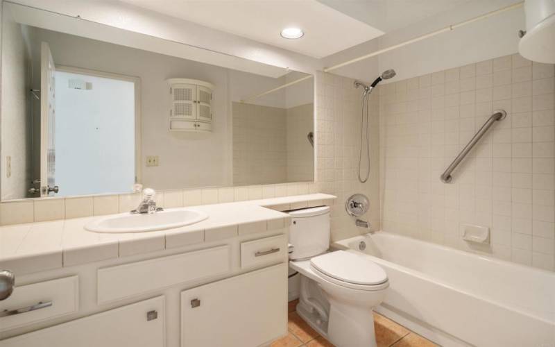 w/ recessed lighting, grab bar, large mirror