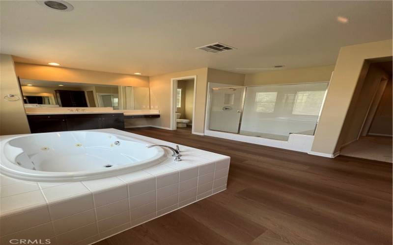 MASTER BATHROOM WITH SHOWER AND SPA