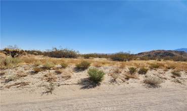 509 Baker Road, Lucerne Valley, California 92356, ,Land,Buy,509 Baker Road,HD24208721