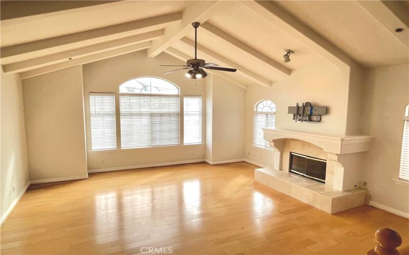 Large living room with an abundance of natural light