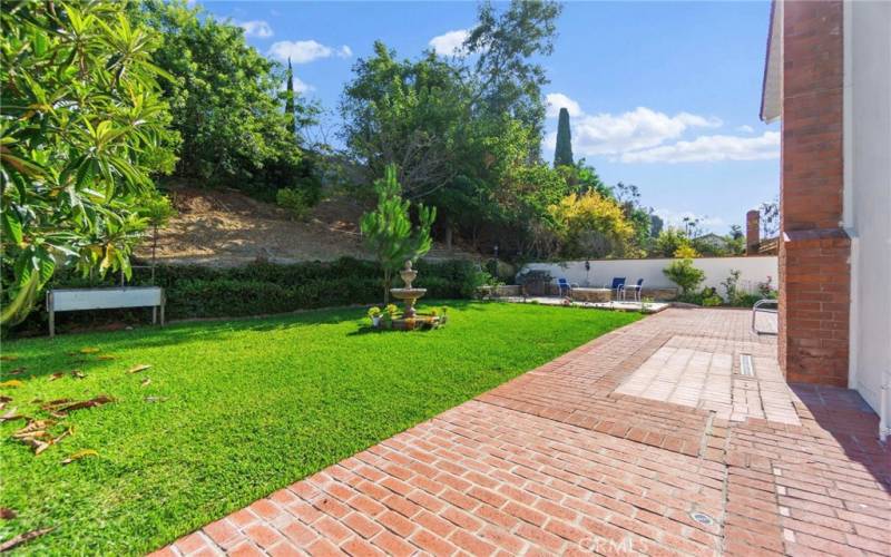 Backyard with Water Feature