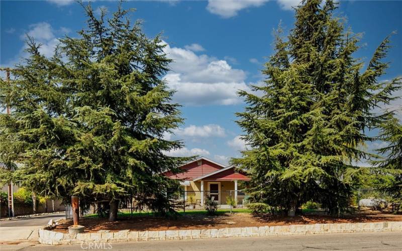 Front view from across the street with large mature trees