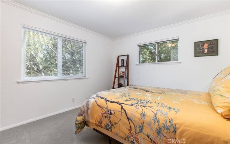 Bedroom 2 offers plush carpet and two windows to bring in the natural light.