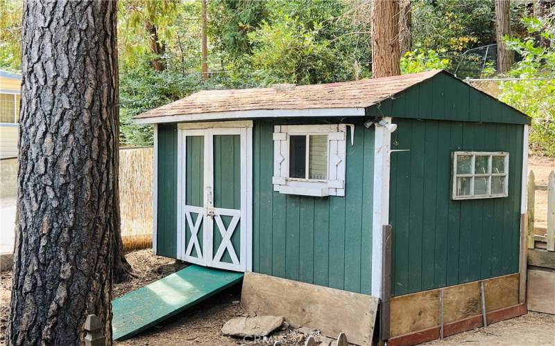 The backyard shed.