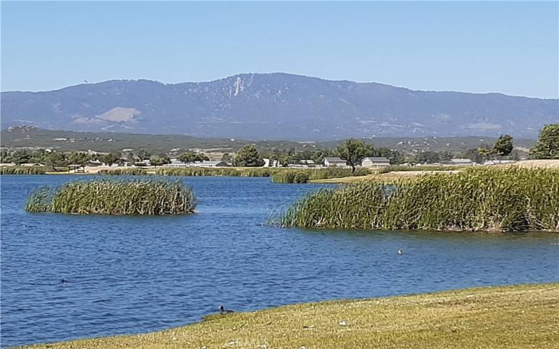 HOA Amenities Views of the Lake