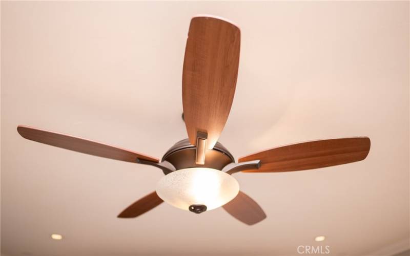 Primary bedroom ceiling fan