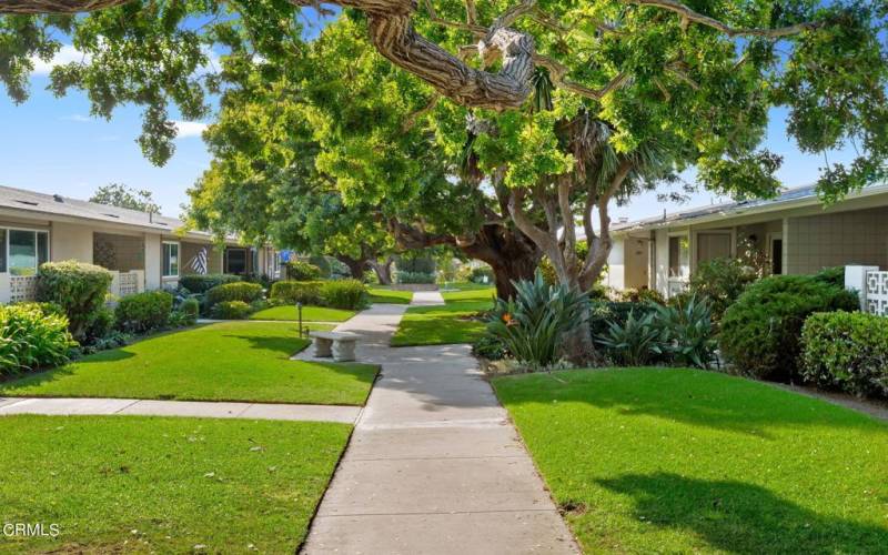 8-web-or-mls-02 - Common Area Walkway