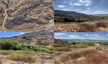 0 Pala Road, Fallbrook, California 92028, ,Land,Buy,0 Pala Road,NDP2409043