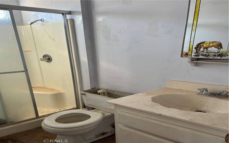 upstairs bathroom with step-in shower.