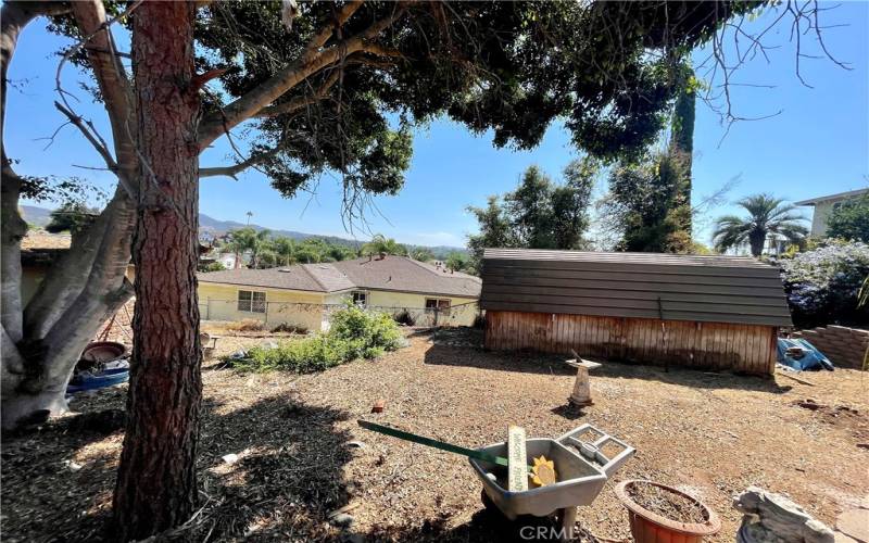 Backyard view and wood barn