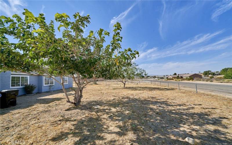 Front yard next to main entrance.