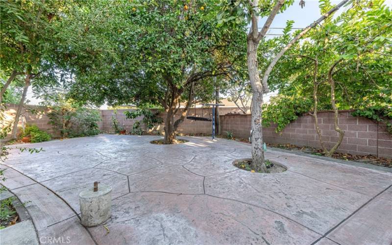 Avocado, Fig, Pomegranate, and Orange trees in BackYard