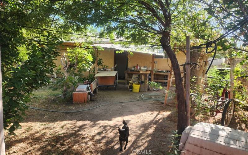 enclosed backyard