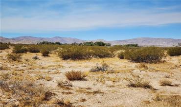 503 Locust Avenue, Lucerne Valley, California 92356, ,Land,Buy,503 Locust Avenue,HD24208807