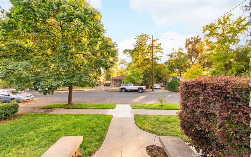 Neighborhood View From Front Porch