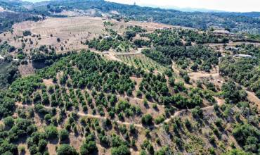 0 Courser Canyon Road, Valley Center, California 92082, ,Land,Buy,0 Courser Canyon Road,NDP2409086