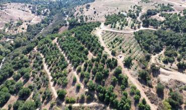 0 Courser Canyon Road, Valley Center, California 92082, ,Land,Buy,0 Courser Canyon Road,NDP2409086