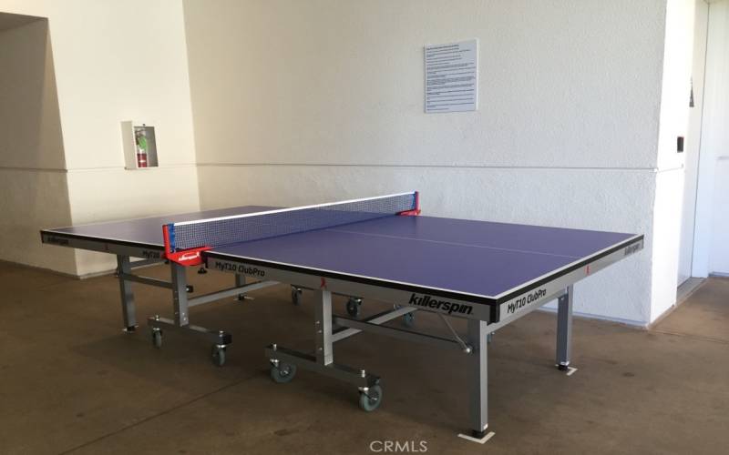 Ping Pong Table