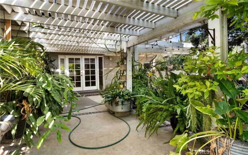 Patio view with Mature Fruit Trees