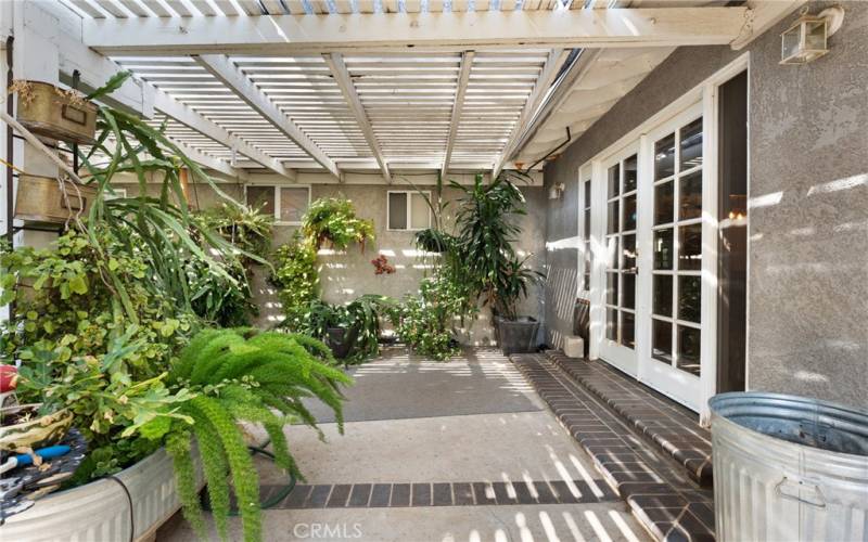 Covered Patio w/ Mature Fruit Trees