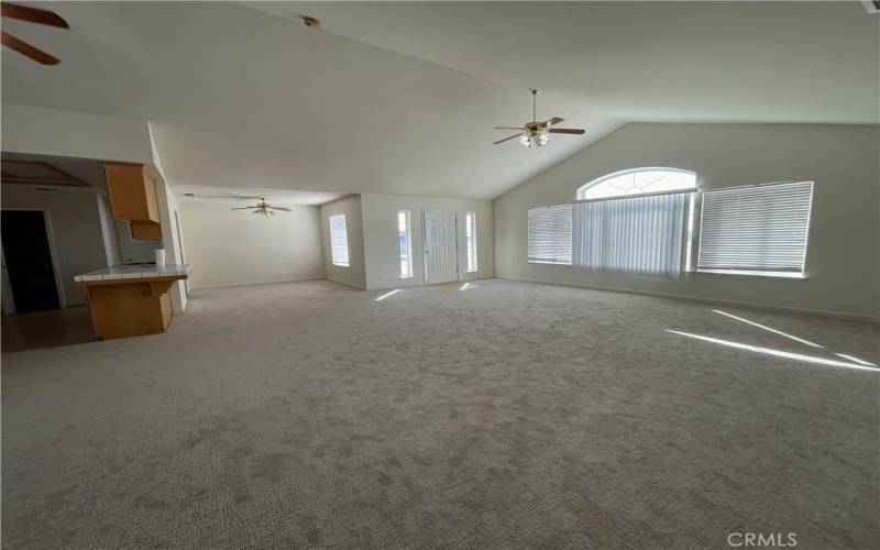 Large Living Room