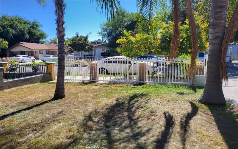 Front yard and fence