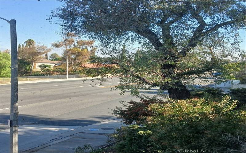 Street view from dining area 2